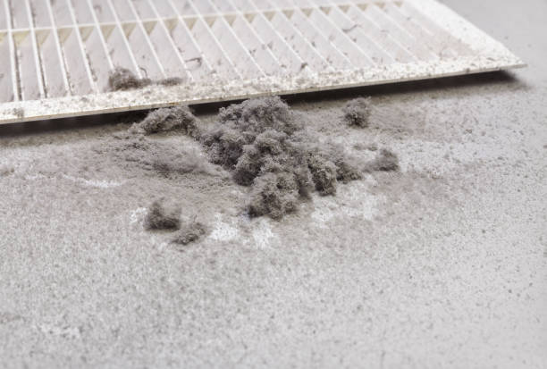 Best Affordable Duct Cleaning Services  in Ridgway, CO