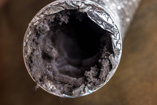Best Commercial HVAC Duct Cleaning  in Ridgway, CO