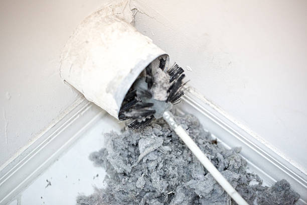 Best Air Duct Cleaning Near Me  in Ridgway, CO
